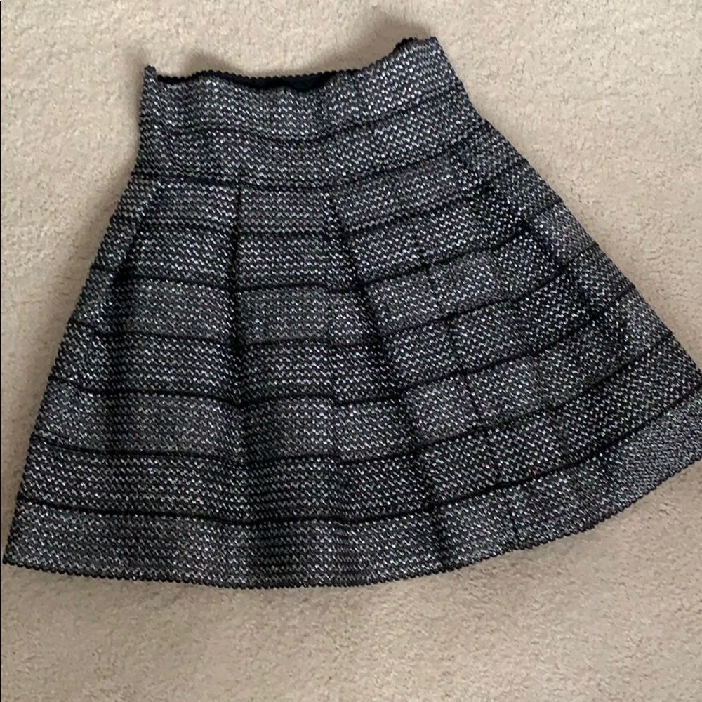 Silver Skirt